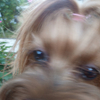 ulise