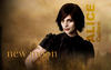 alicecullen