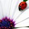nathouille11