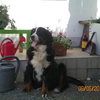 babou59750