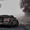 LucienneShelby