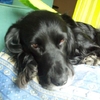 bobbyjethro