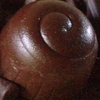 zazouchocolat
