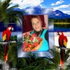 Divina