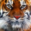slyyy13