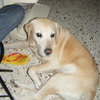 maryjo