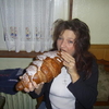 catetka