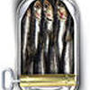 Melle Sardine