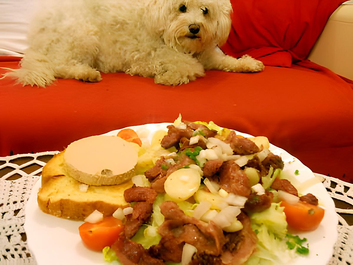 recette SALADE AUX GÉSIERS et FOIE GRAS