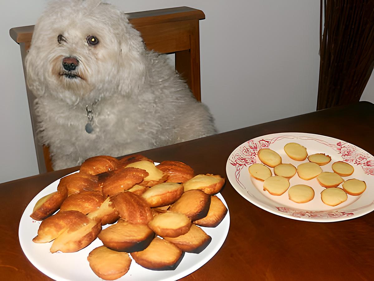 recette PREMIÈRES MADELEINES DE MIRABELLE 54