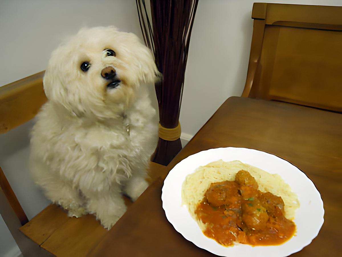 recette BOULETTES DE BOEUF SAUCE TOMATE-LEGUMES