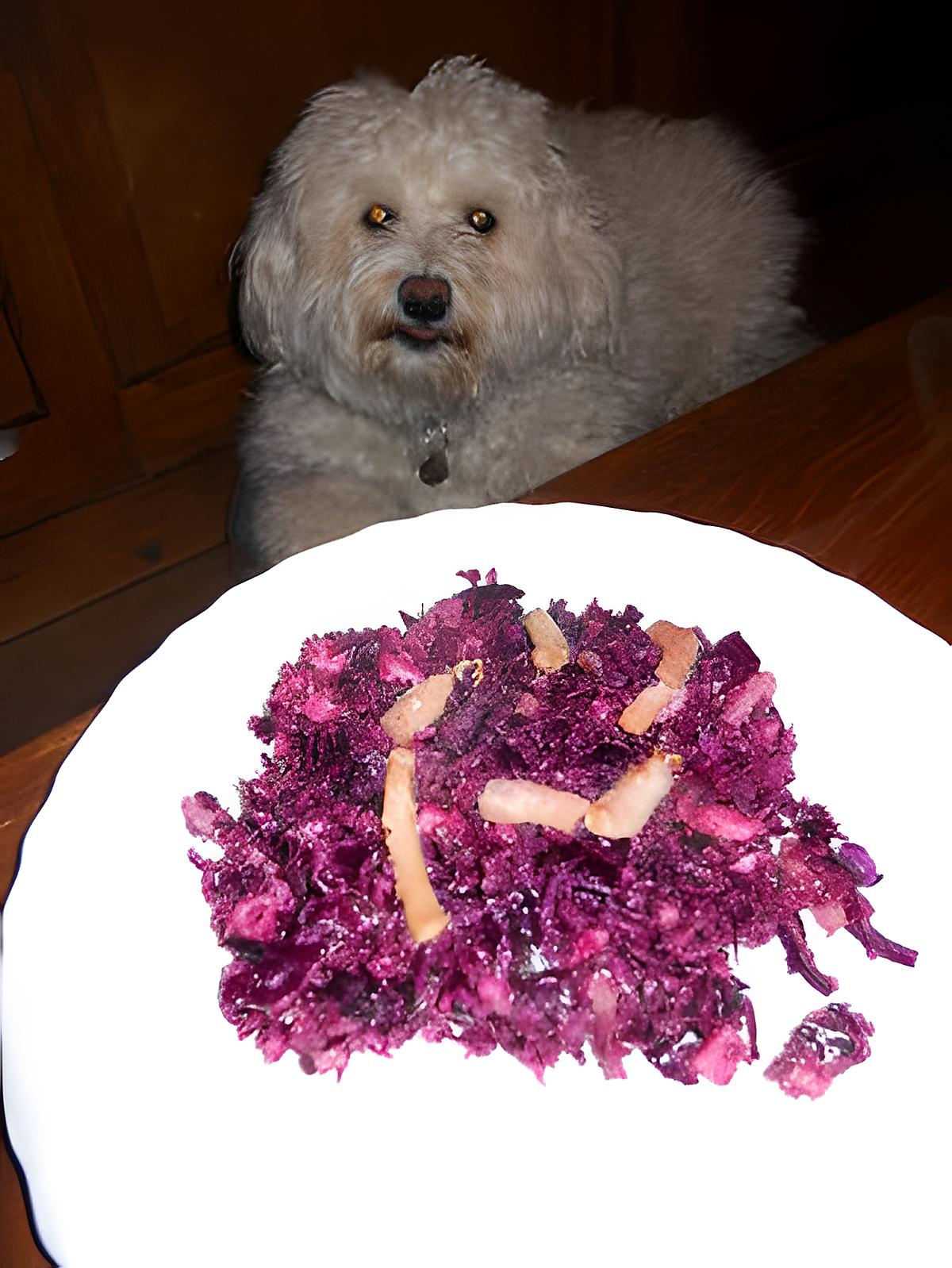 recette SALADE DE CHOU ROUGE