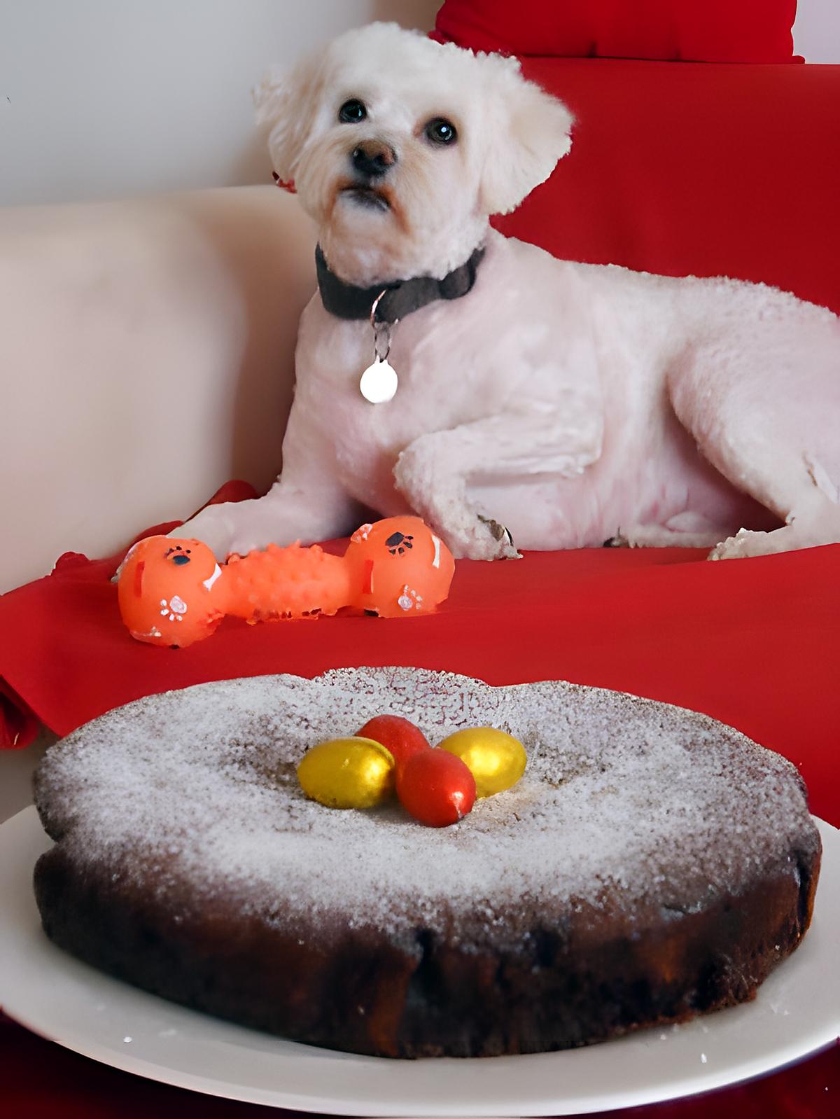 recette DÉLICIEUX AU CHOCOLAT