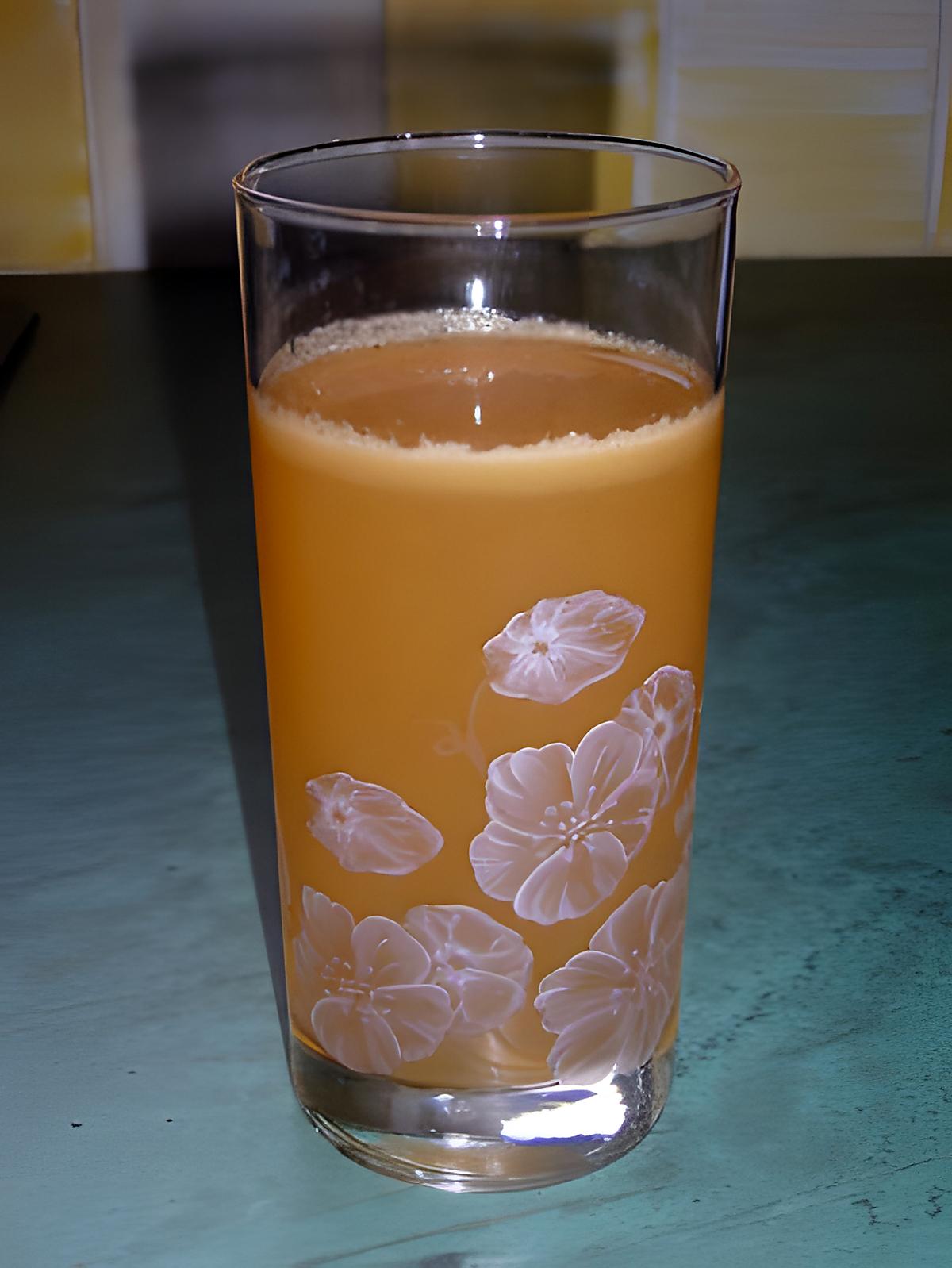 recette Jus de pommes à la centrifugeuse