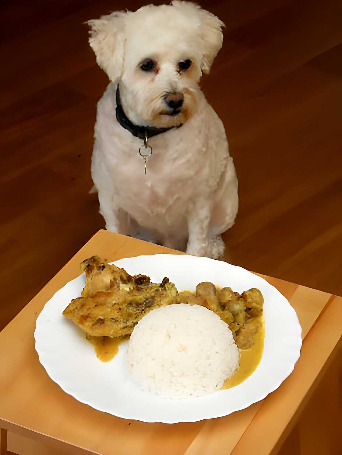 Recette de POULET AUX CHAMPIGNONS DE PARIS