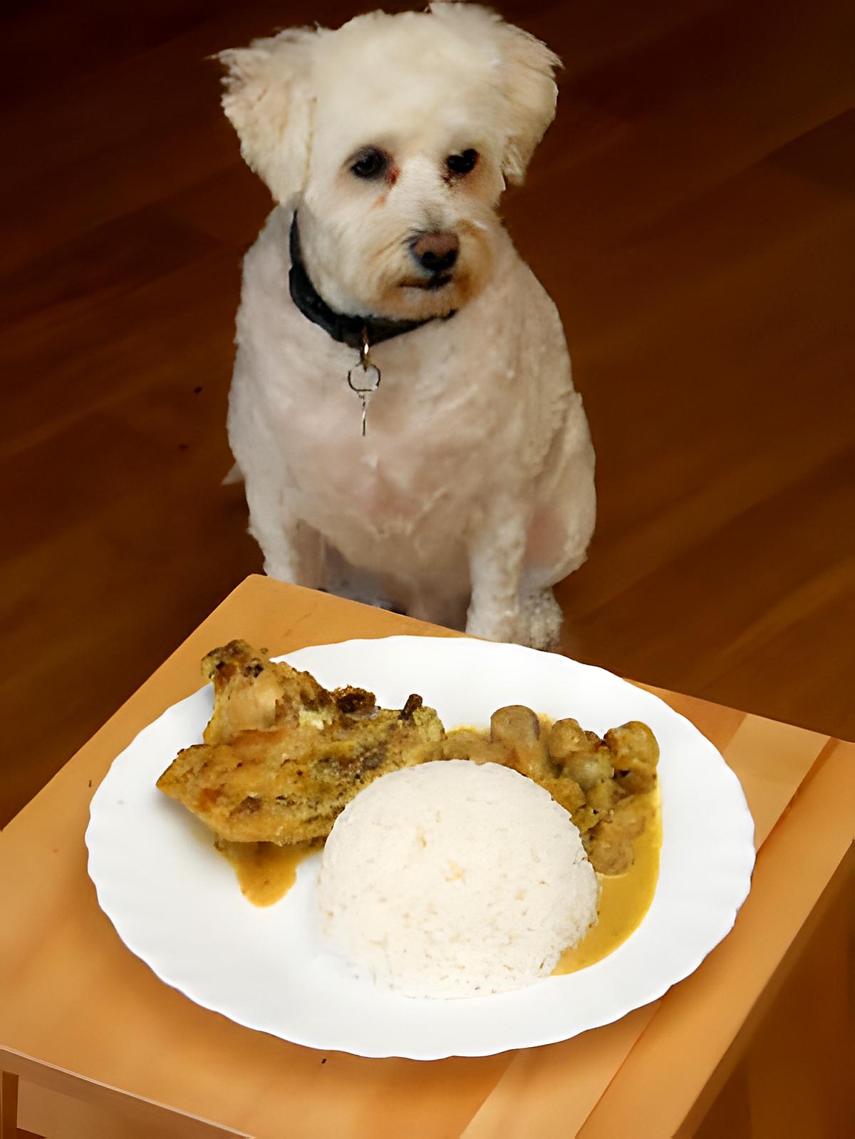 recette POULET AUX CHAMPIGNONS DE PARIS