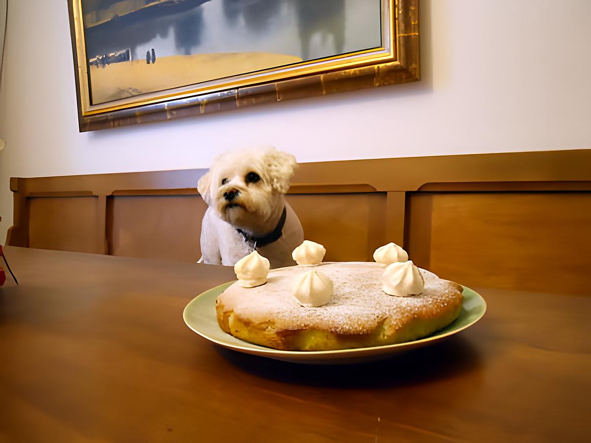 recette GÂTEAU AERIEN AU FROMAGE BLANC