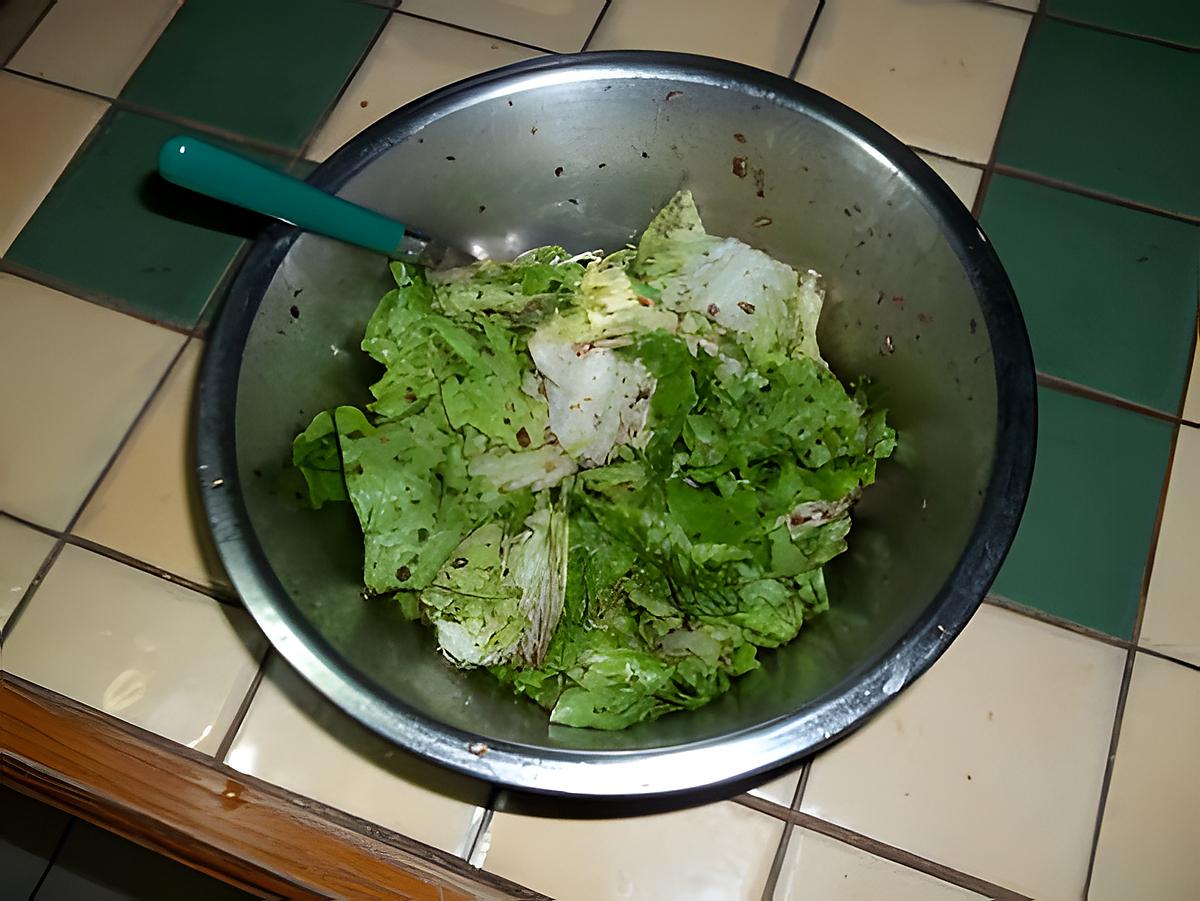 recette le printemps est la (ma salade)