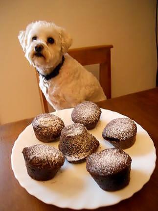 recette MUFFINS, MADELEINES ET CAKE AU CHOCOLAT