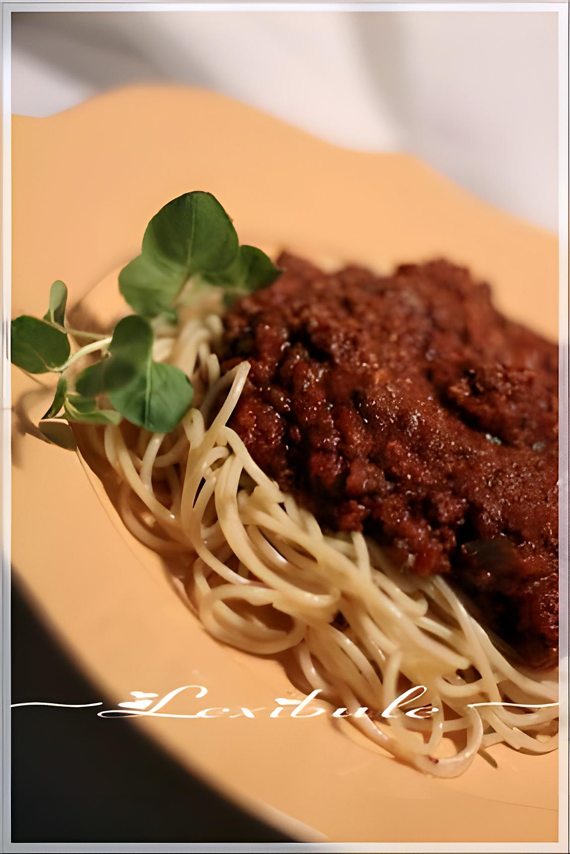 recette ~Sauce à spaghetti italien de Franden~
