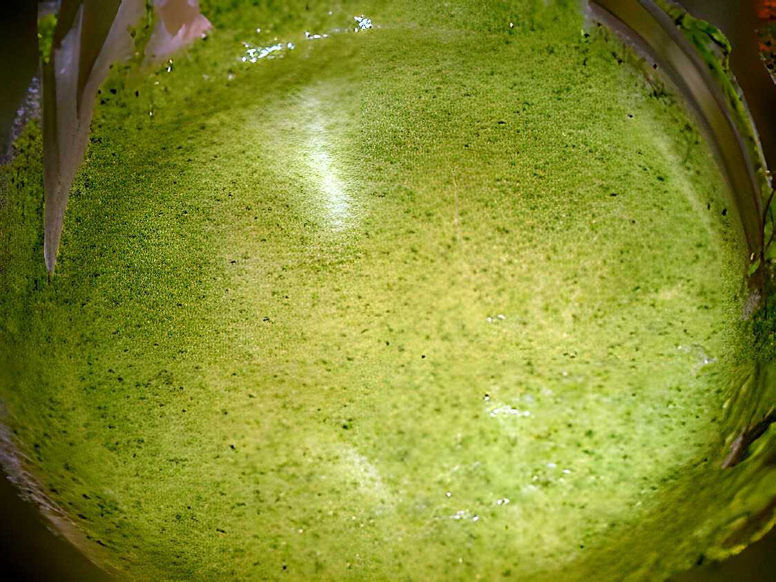 Recette de Velouté de fane de radis