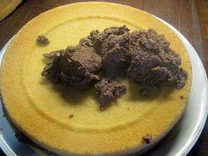 recette Gâteau à la  mousse de chocolat, sans cuisson .