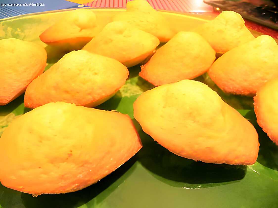 Délicieuses madeleines