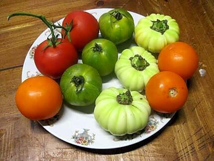 recette Assiette fraîcheur de tomates.