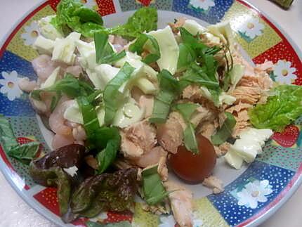 recette Plat garni, au saumon, crevettes, olives, fromage, basilic, mayonnaise.