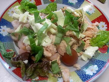 recette Plat garni, au saumon, crevettes, olives, fromage, basilic. mayonnaise.