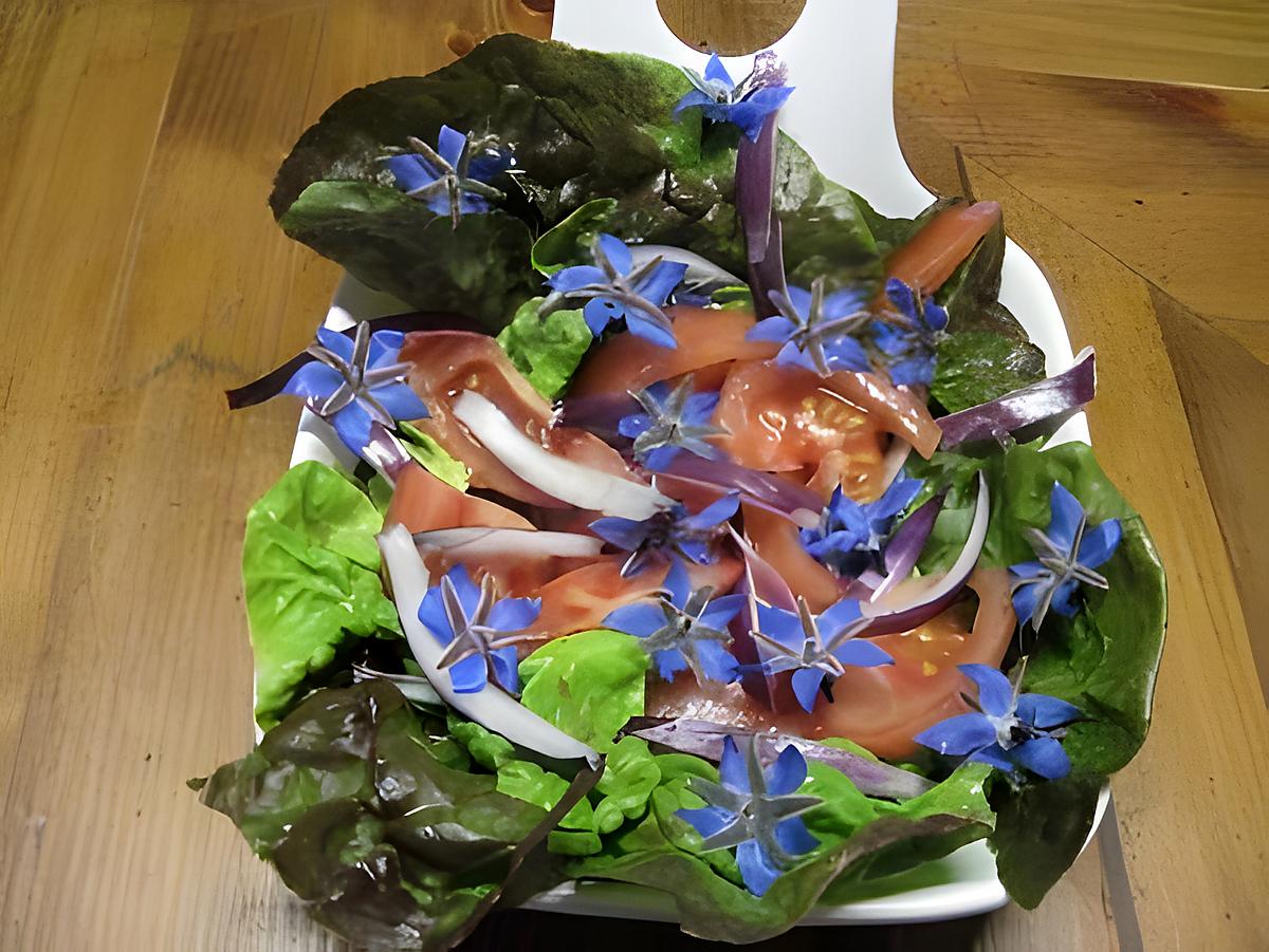 recette Salade de tomates aux fleurs de bourrache.