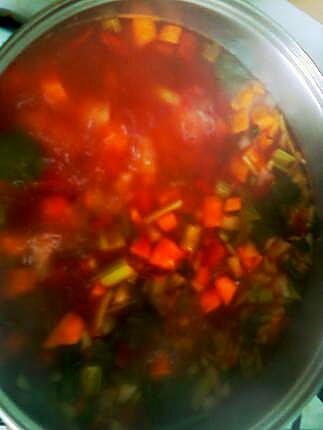 recette minestrone