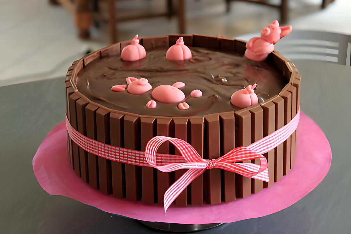 recette gateau: Bain de boue pour les cochons