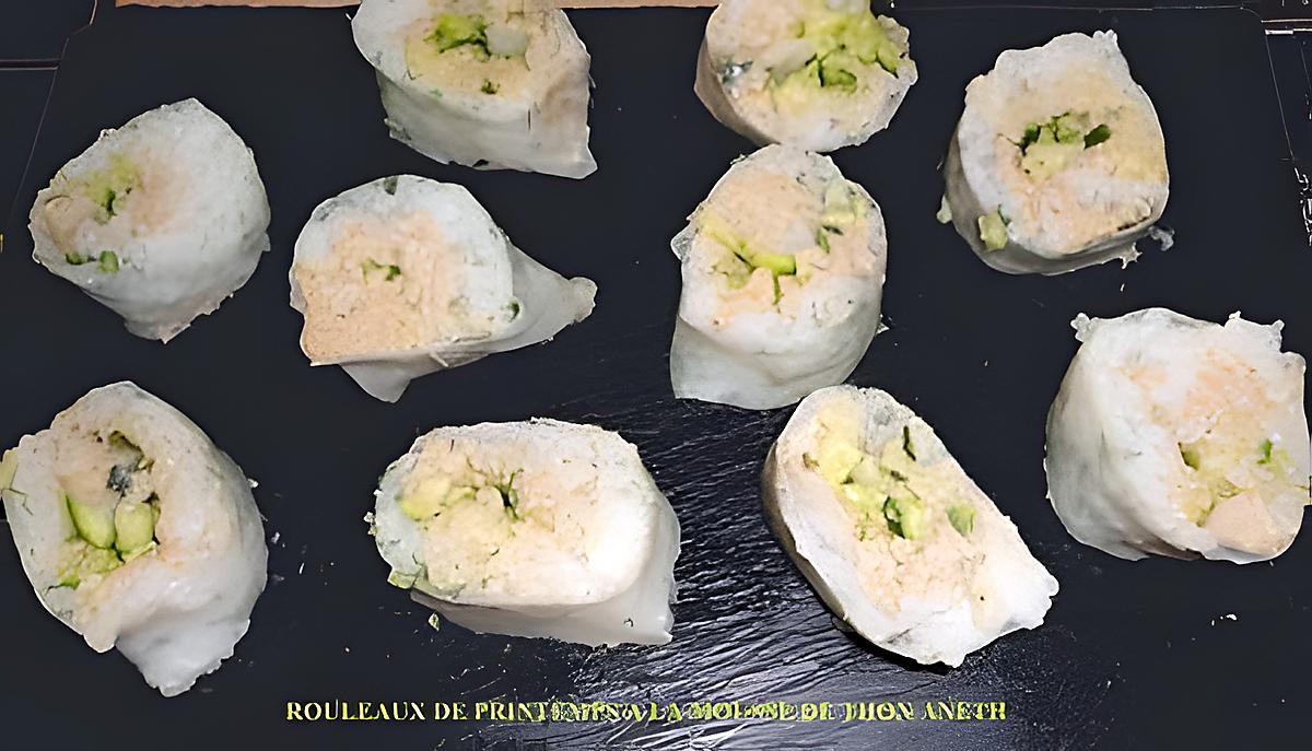 recette ROULEAUX DE PRINTEMPS A LA MOUSSE DE THON ANETH