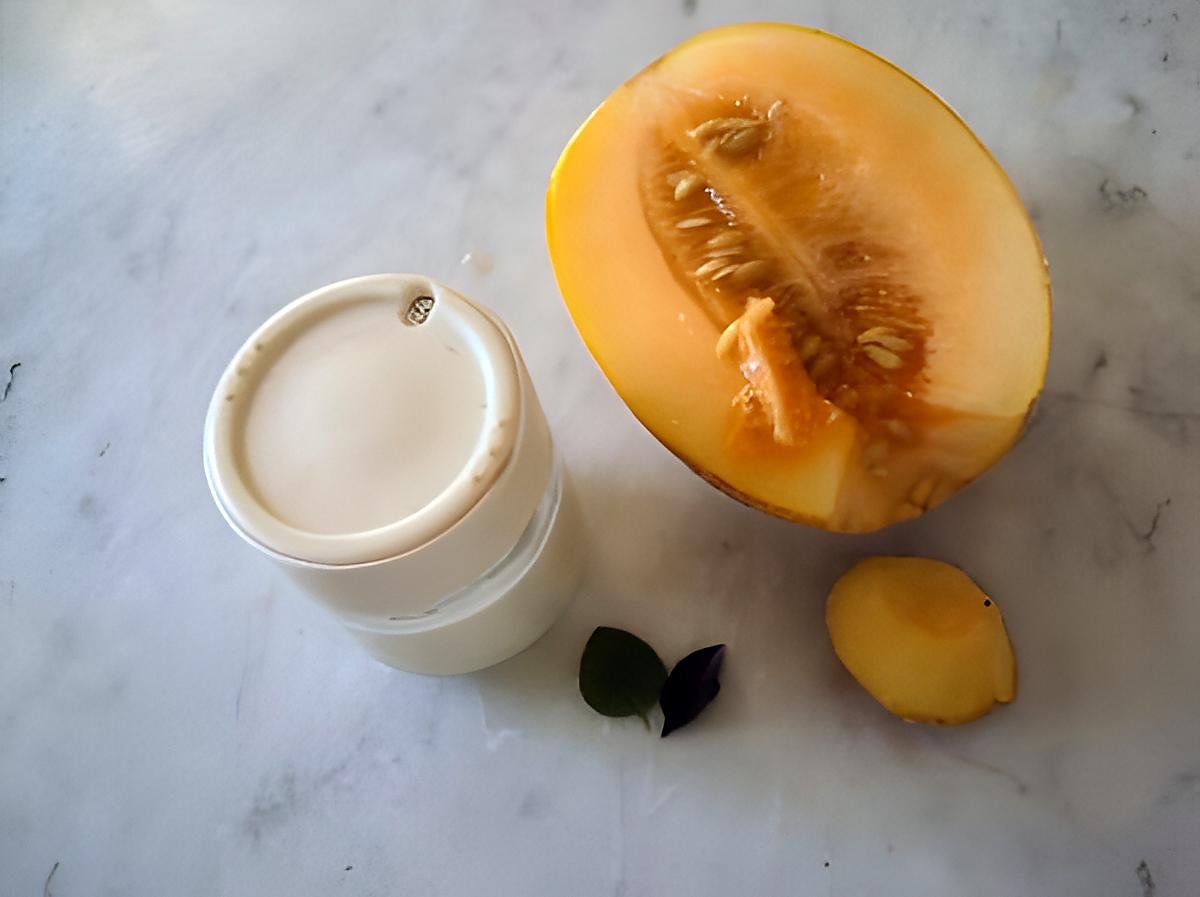 recette Soupe de melon