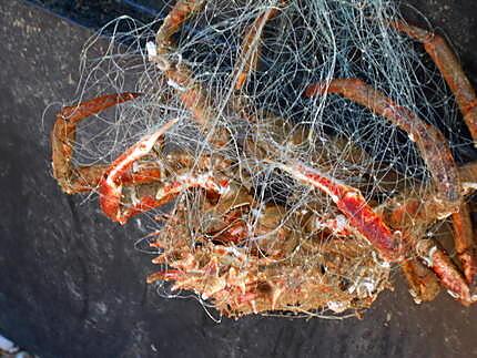 recette JOUR  DE  PECHE (PAS MIRACULEUSE .....MAIS.....)