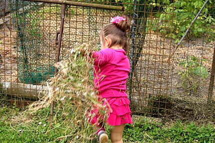 recette Marinades  pour agneau, mouton, boeuf et....