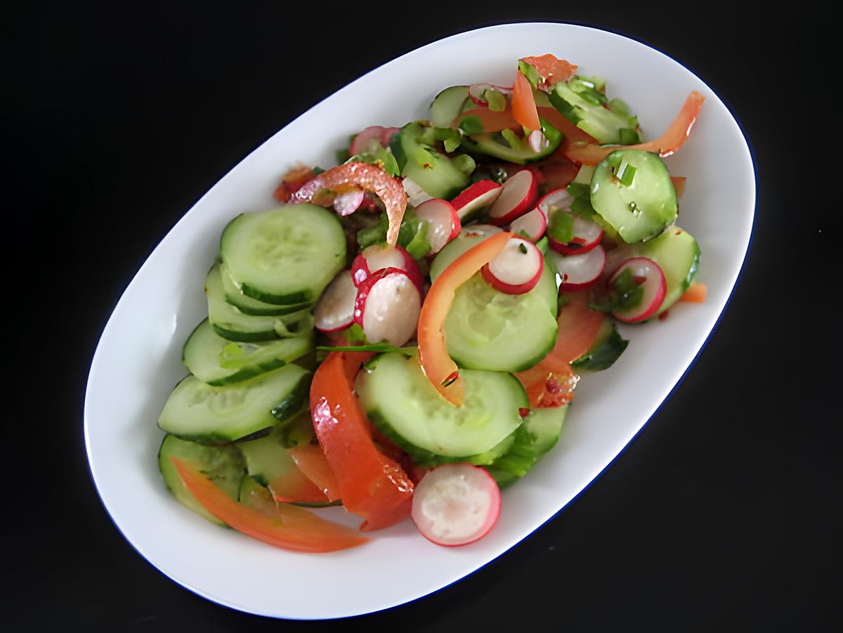 recette Salade tomate-concombre-radis-oignon nouveau