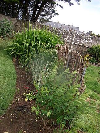 recette saumon en papillotte  et dans le finistére