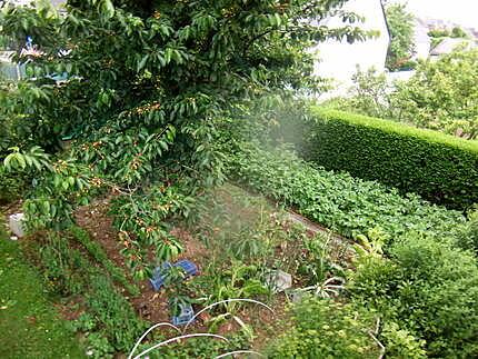 recette petits   maqueraux     une idée de jeanmerode;;et;;au jardin!!!