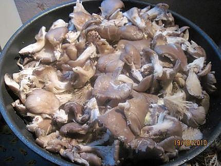 recette Champignons Pleurotes stérilisées.