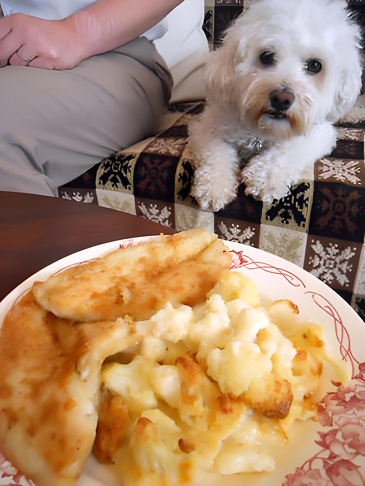 recette FILET DE CARRELET ET GRATIN DE CHOUX FLEURS