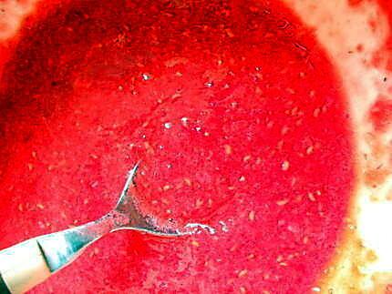 recette Panna cotta fraises/framboises