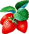 recette confiture de fraises.