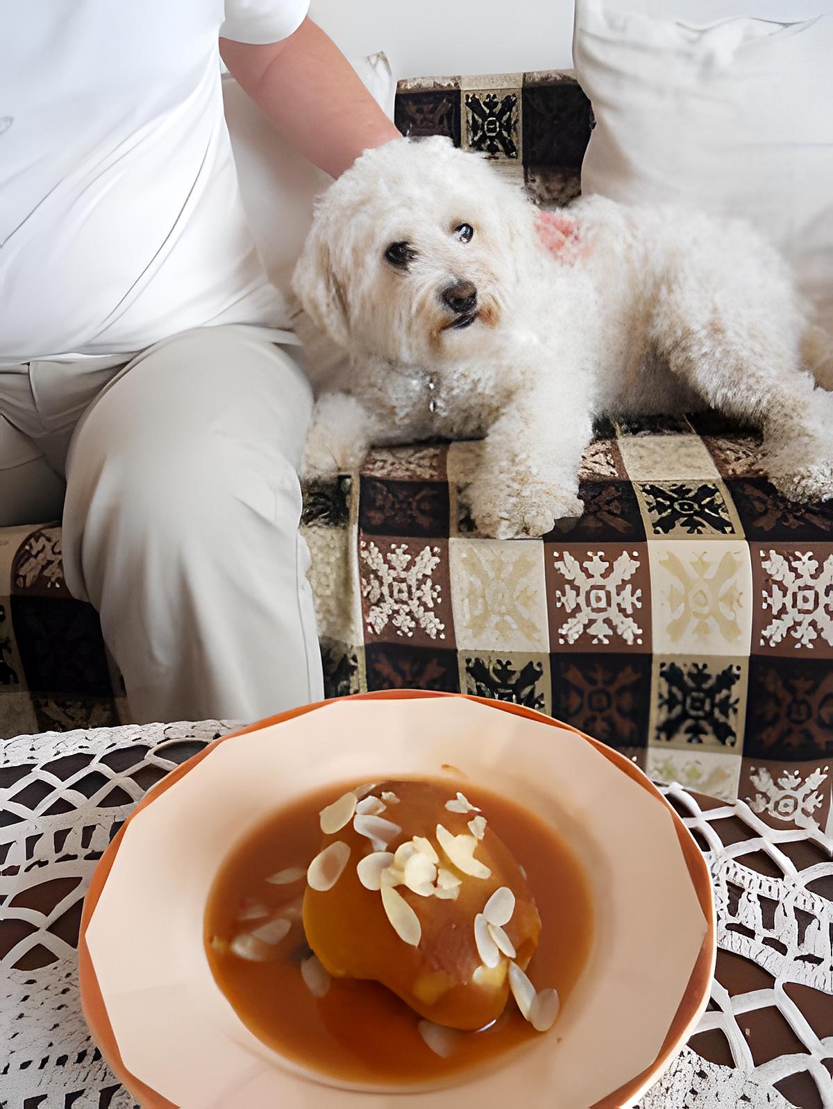 recette POMMES AU SIROP DE LIEGE, EN HOMMAGE A CAMPANULE, TITE MOI , KAND'S ET TOUS LES BELGES