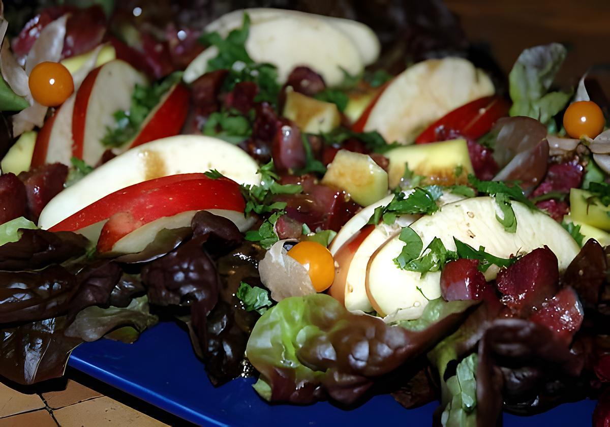 recette Salade de gésiers confits avec sa pomme et sa mangue au vinaigre balsamique aromatisé à l'écorce d'orange amère