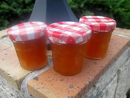 recette Confiture d'abricots nature.