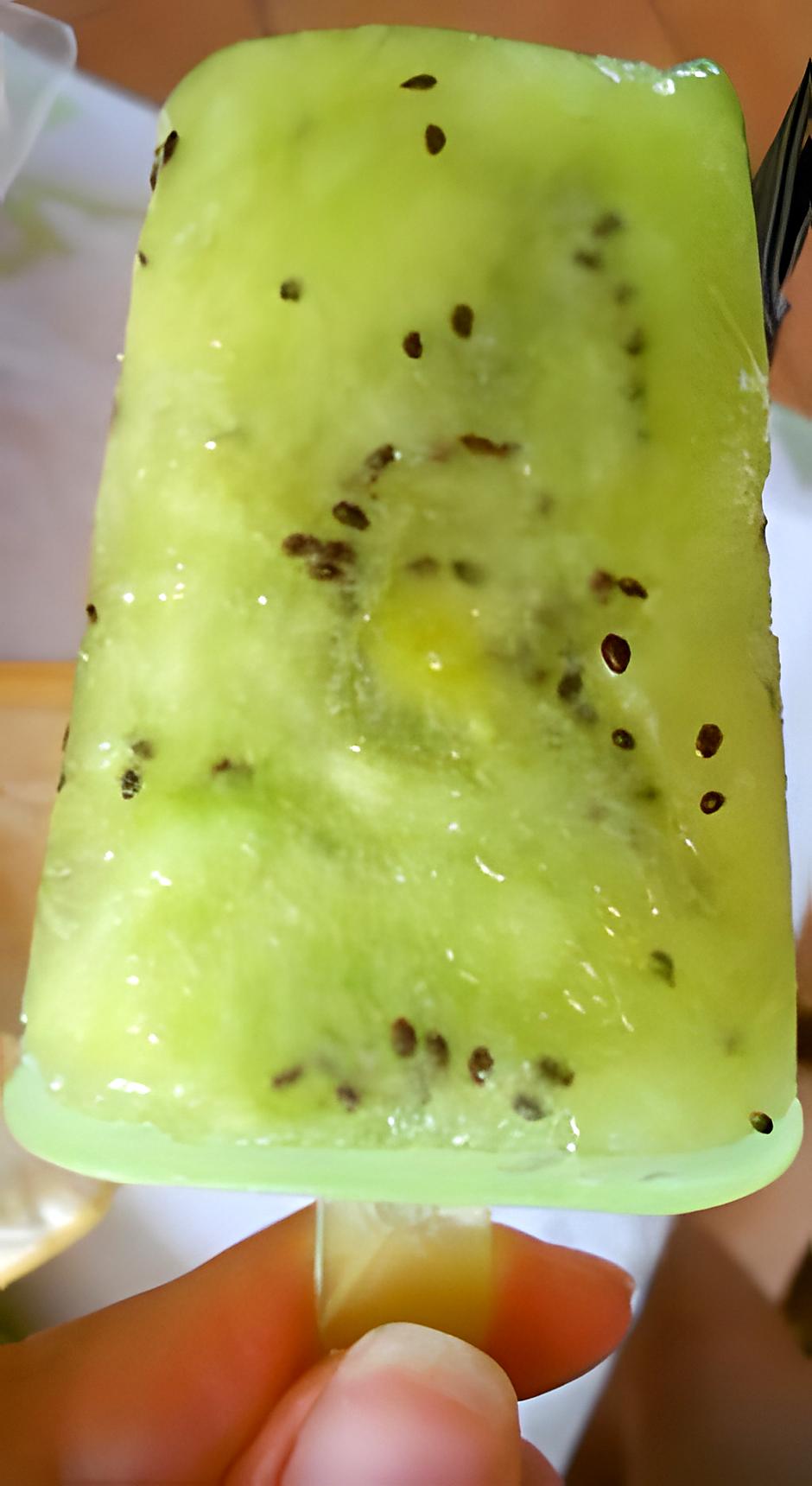 recette Glace Kiwi maison