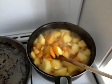 recette Compote pomme abricot