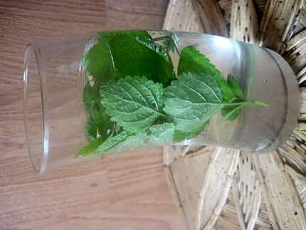 recette boisson menthe fraiche.